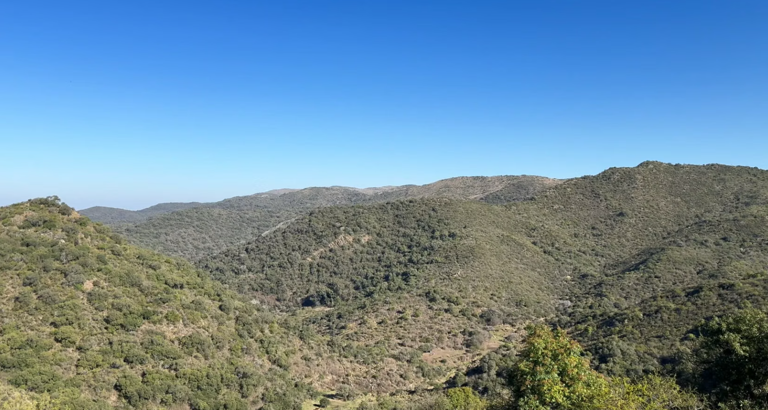 PREVENTING WILDFIRES_box_header