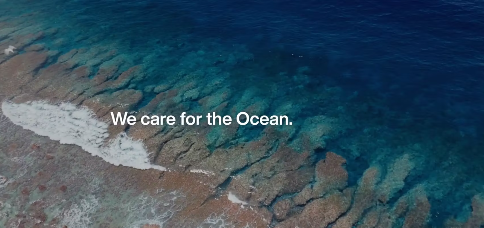 fishing_for_litters_box_header