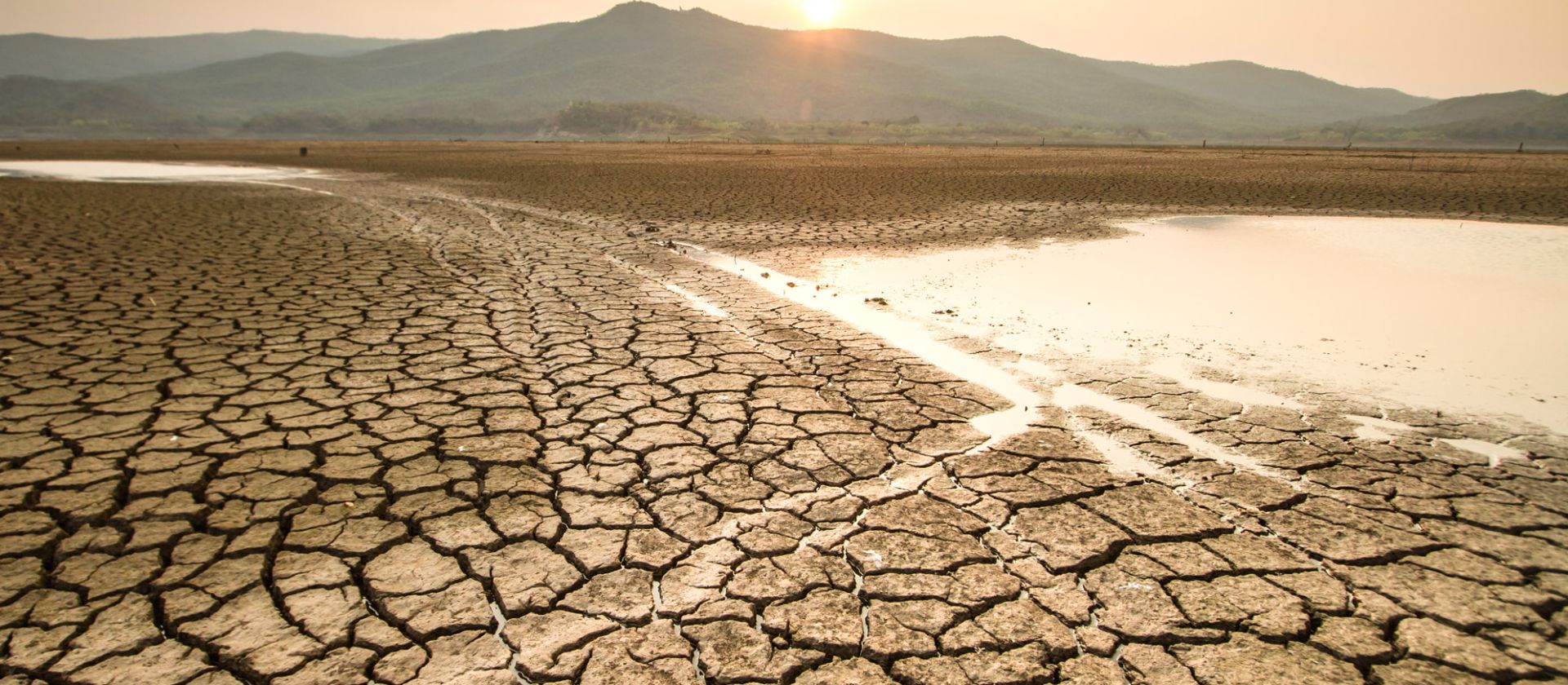 ivg_fighting_climate_change