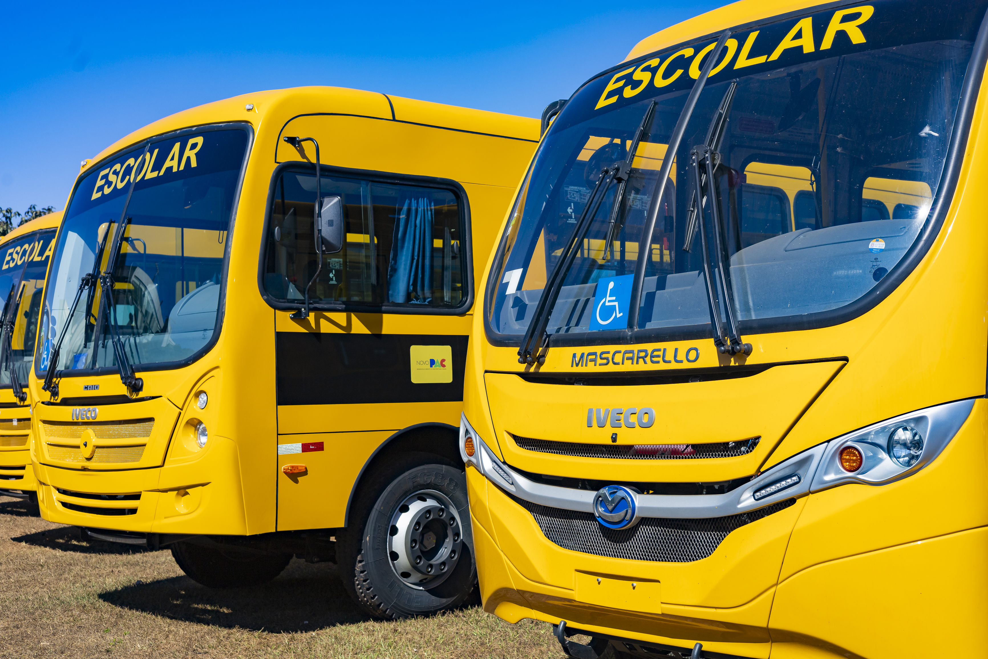 IVECO BUS confirma a entrega de 500 ônibus escolares no início de 2025, para reforçar transporte seguro e acessível
